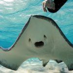 The 10 most exotic scuba diving destinations in the world