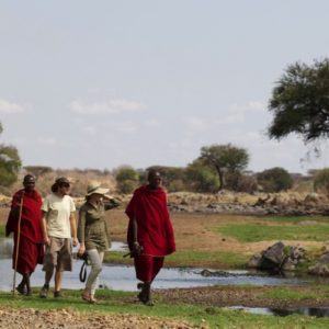 5 of the best places in Africa to see big cats